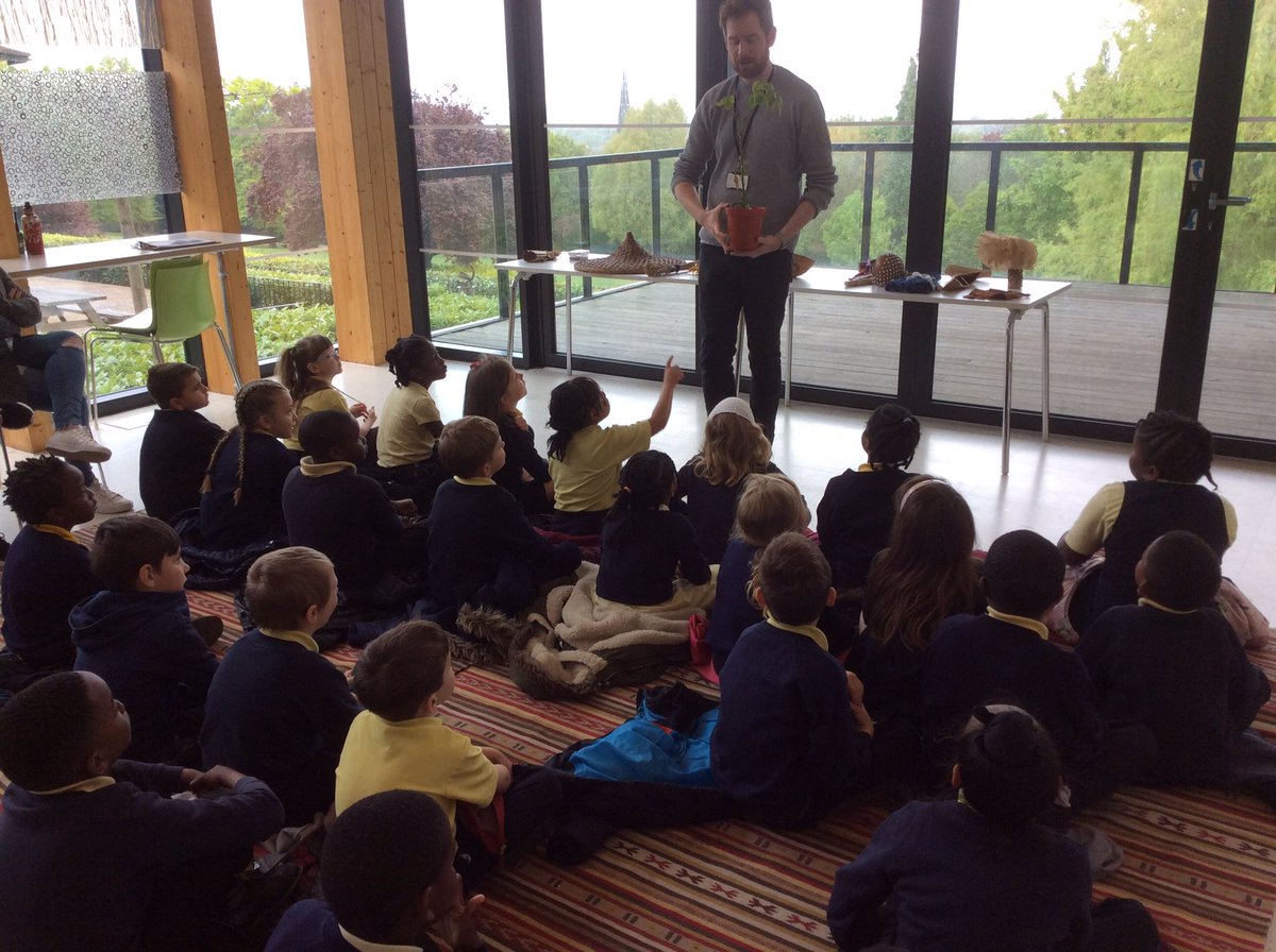 Adamsrill2G's tweet photo. Look at this chilli plant...ask us what the roots do...the stem...the leaves...We love Ed! Did you know plants make their own food? https://t.co/2fjYqWO7wE