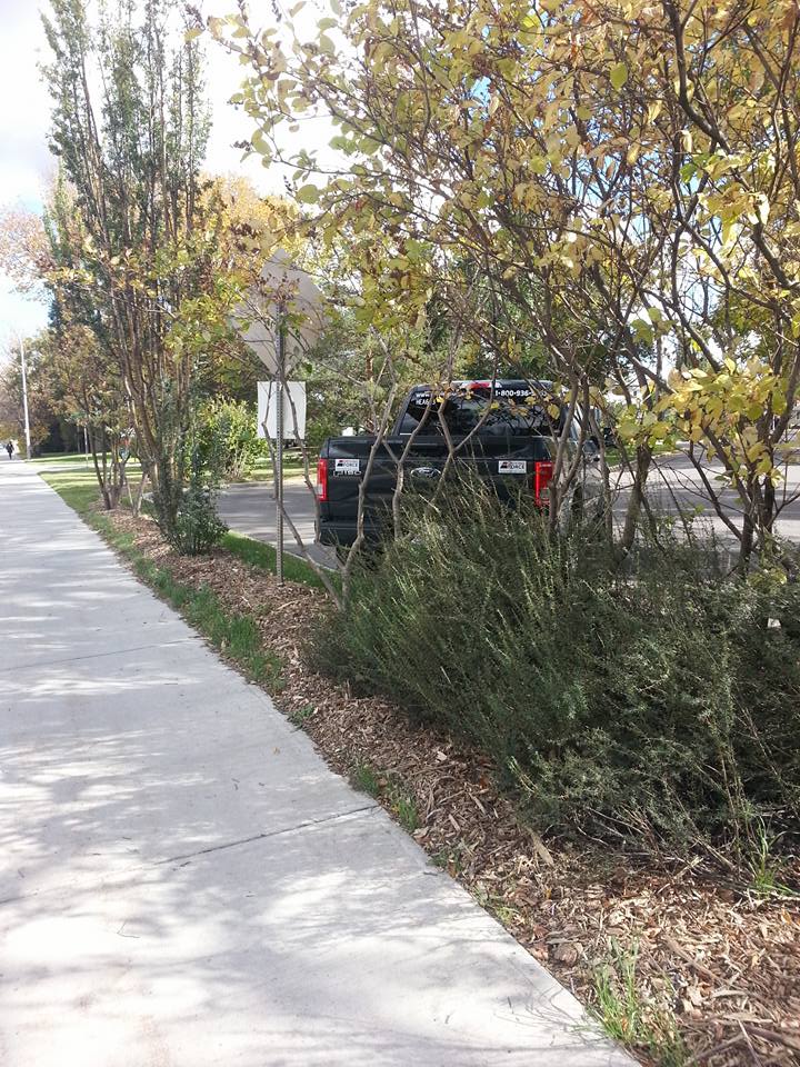 YEGMilkman's tweet photo. #StayClassyEdmonton #Not4Safety #Yeg #YegTraffic #AlbertaCashCows https://t.co/FKgHUEJZDX