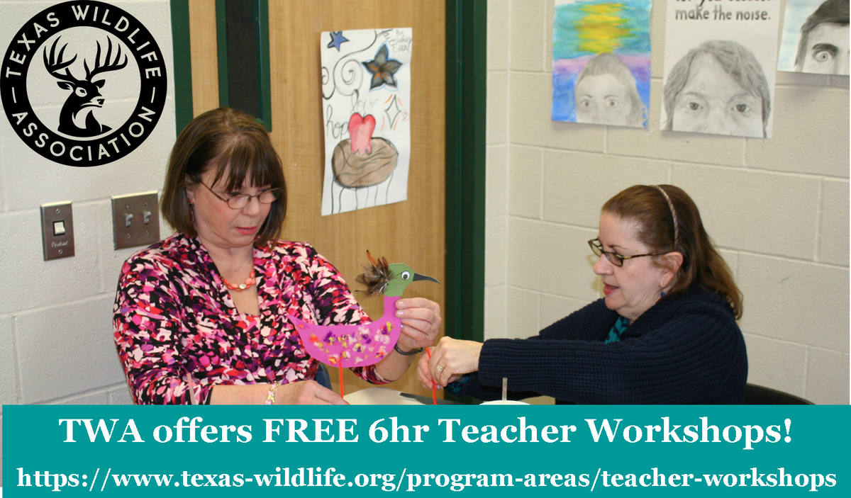 Texas Wildlife Edu tweet media