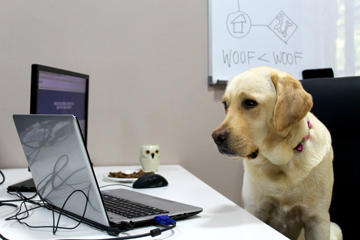 kontraagency's tweet image. Is she the cutest intern or what? #Kira #digitalintern