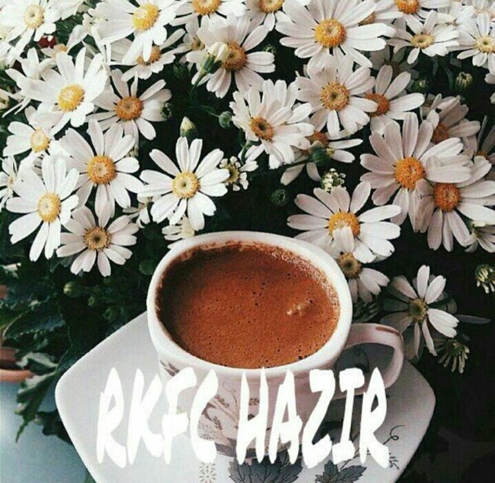 Biz haziriz 🌼🙈 #RKFC #rabiakaraca #Kismetseolur <a href="/halukss/">Haluk Sirin</a>