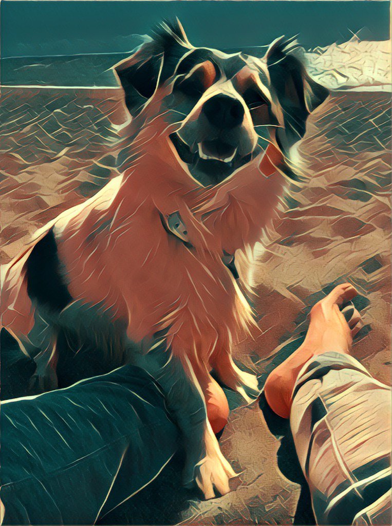 Sim_One_75's tweet image. #Ash #mare