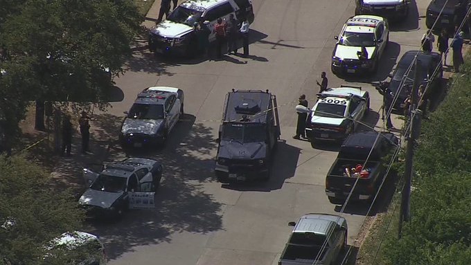 View image on Twitter