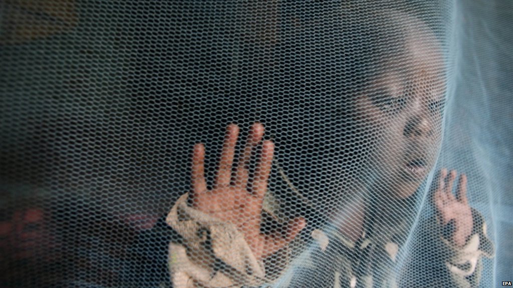 BrightStartSA's tweet image. World's first vaccine against malaria will be introduced in three countries in 2018... ln.is/gaREP by #BBCWorld via @c0nvey