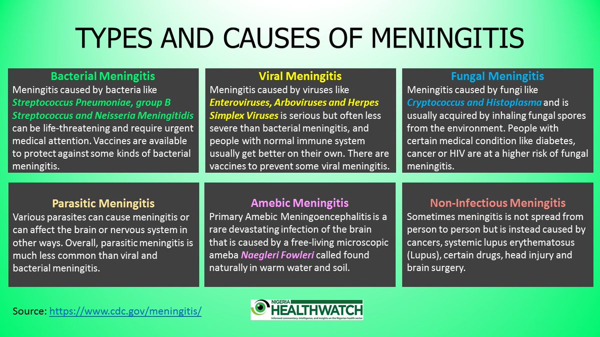 Bacterial Meningitis Types Symptoms Causes And Treatm
