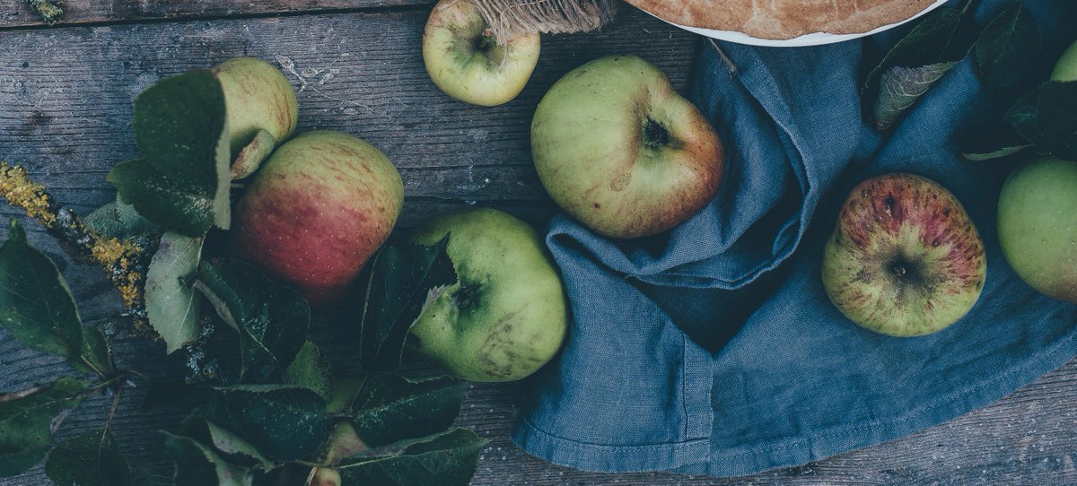 Check out our new blog post "How to Unleash The New Food Waste Economy" featuring @refed_nowaste, and many more!  bit.ly/FFCHarvest6