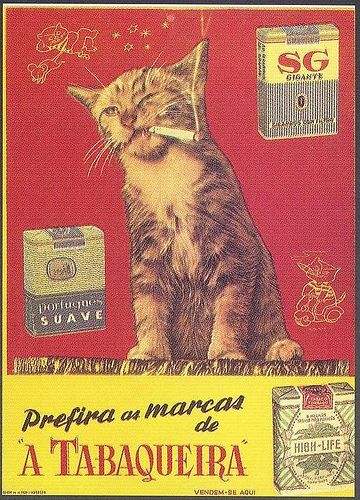 animal cigarette ad Today's Vintage Ad With Bizarrely Out-Of-Place Cats is running with some  bad company
