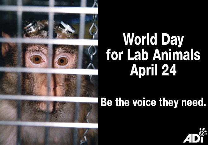 Gina Mutta on Twitter: "Today, 24th April, is World Day for ...