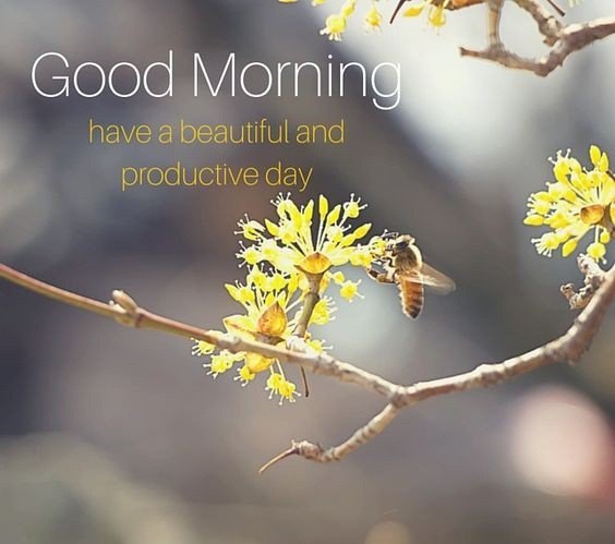 MasterMindSlick's tweet image. 