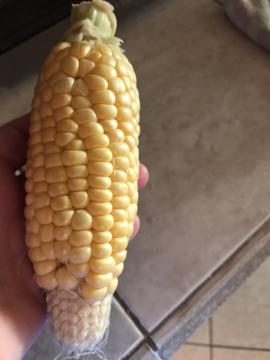 dustydlongoria's tweet image. When I feel like grocery delivery is the greatest invention ever, I get quality like this:  @sproutsfm @amazon ? #gotothestore