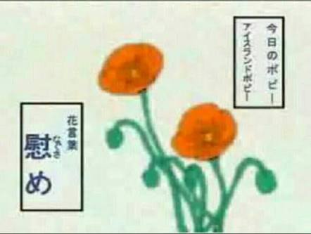 うゆだ Ar Twitter みり愛ちゃんのポピーの話の時 頭の中にはギャグマンガ日和の今日のポピーが頭の中に巡ってた と思って画像 画質クソですいませんが 見たらアイスランドポピーやん すげえ 渡辺みり愛 アンダラ うゆだ Ar Twitter みり愛ちゃんのポピーの話の時 頭の中にはギャグマンガ日和の今日のポピーが頭の中に巡ってた と思って画像 画質クソですいませんが 見たらアイスランドポピーやん すげえ 渡辺みり愛 アンダラ