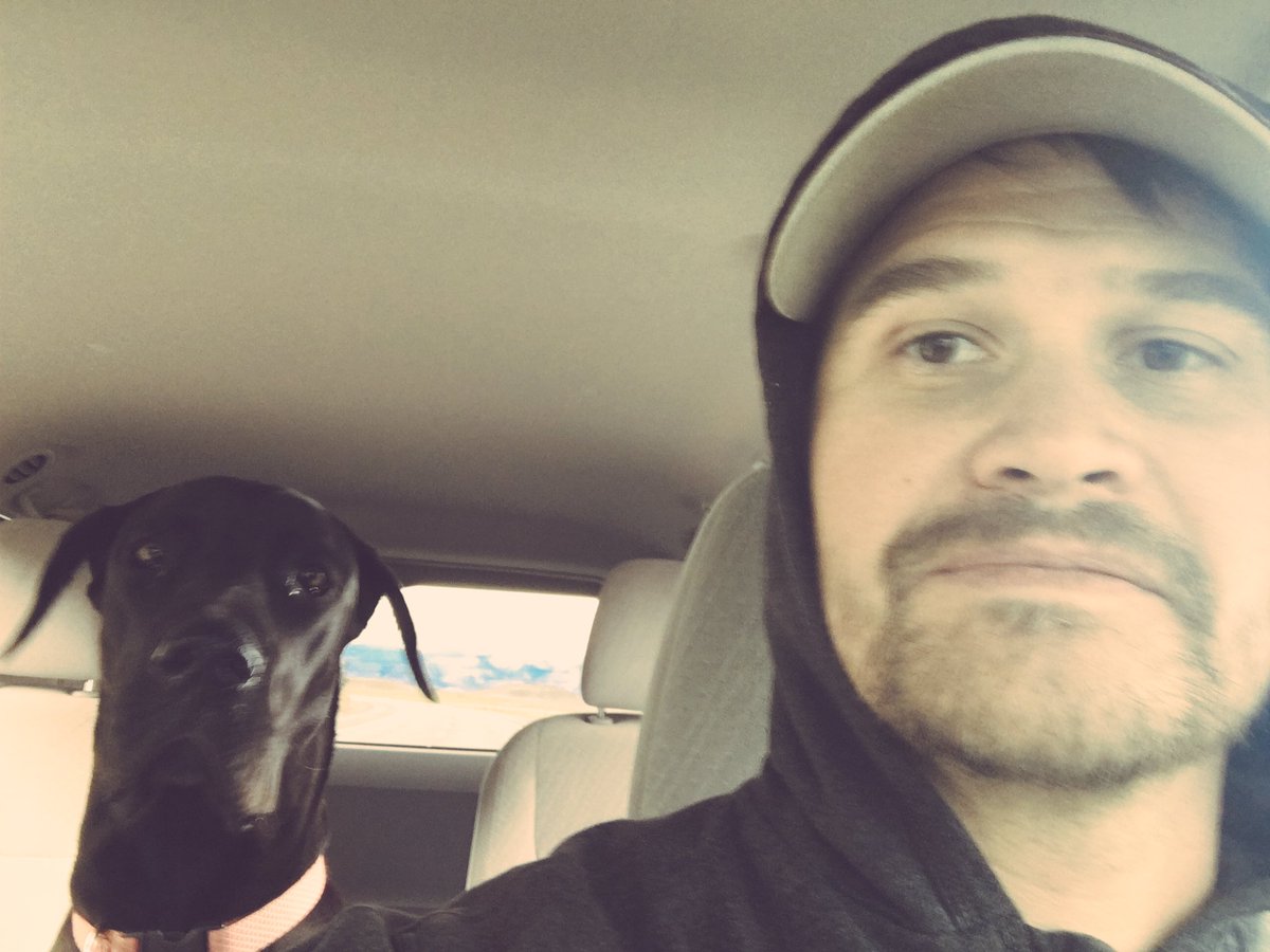 Dan Lear (@danlear78) on Twitter photo Me, the last 48 hours: SNA ➡️SEA 🚐🐶 Me, the last 48 hours: SNA ➡️SEA 🚐🐶