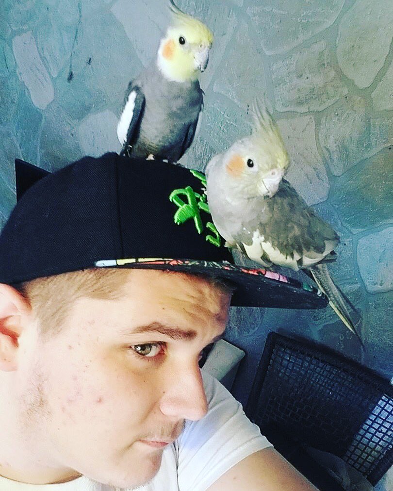 Our new birds as well 😍💕🐦