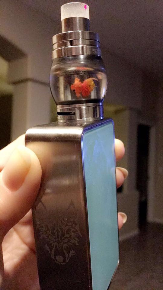 elfbar nachfüll pod läuft aus Voopoo Finic Fish Replacement pod – VaporamaVapes main image 0