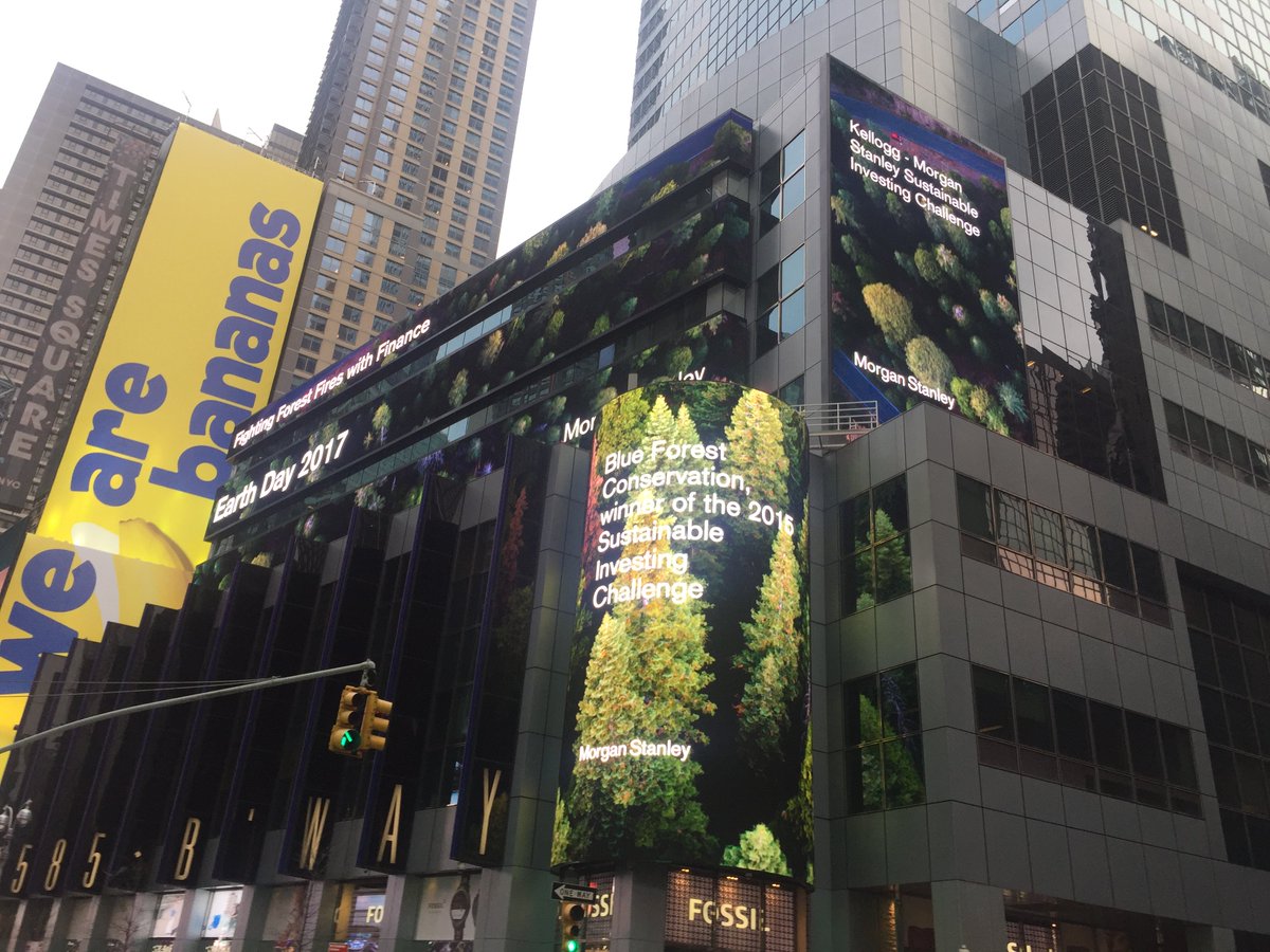 If you're in Times Square near <a href="/MorganStanley/">Morgan Stanley</a>, check out this #EarthDay shout-out to the 2015 #SIchallenge winner, @BlueForestConsv