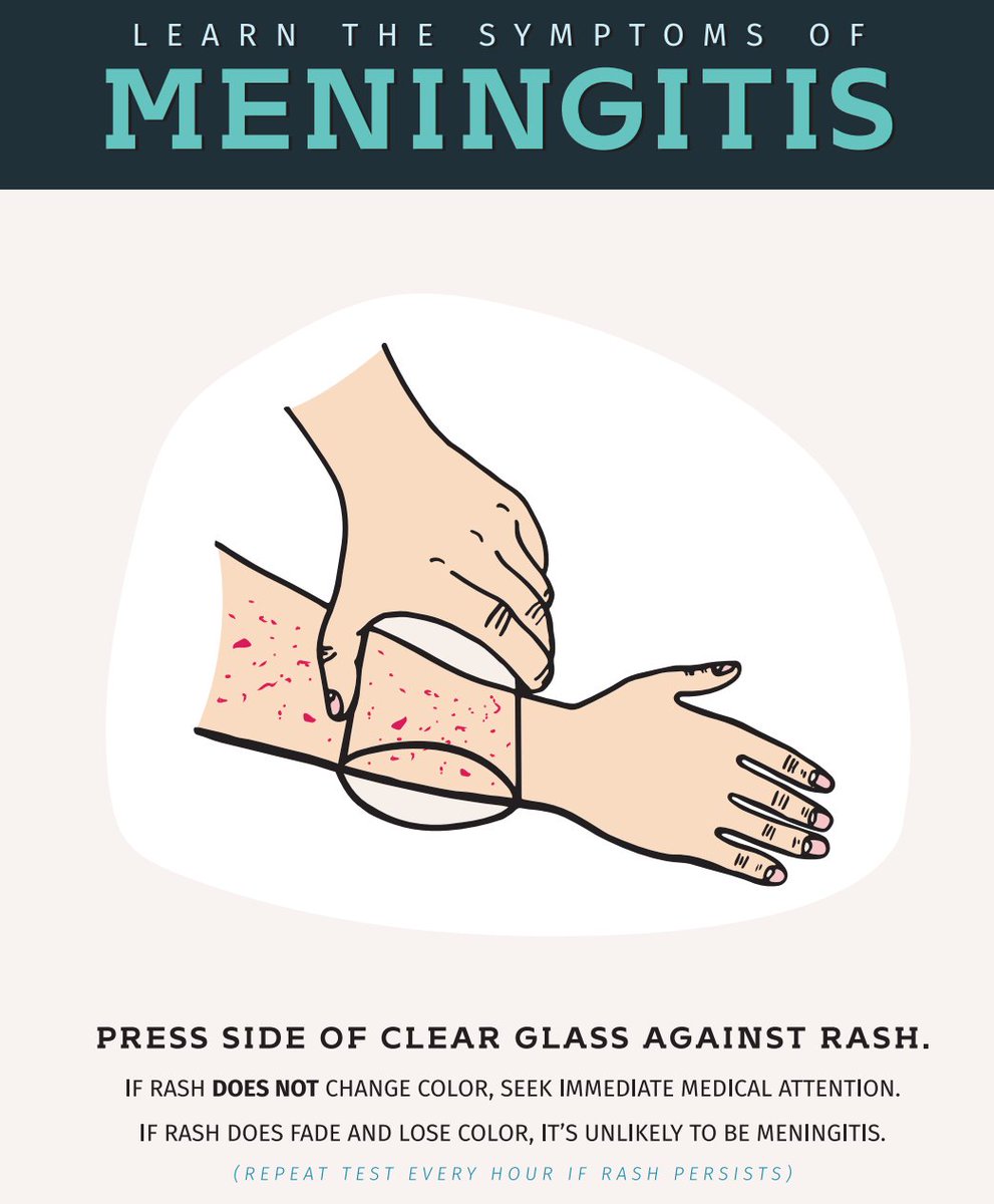 Media Tweets by Jamie Schanbaum (JAMIEGroup14) Twitter