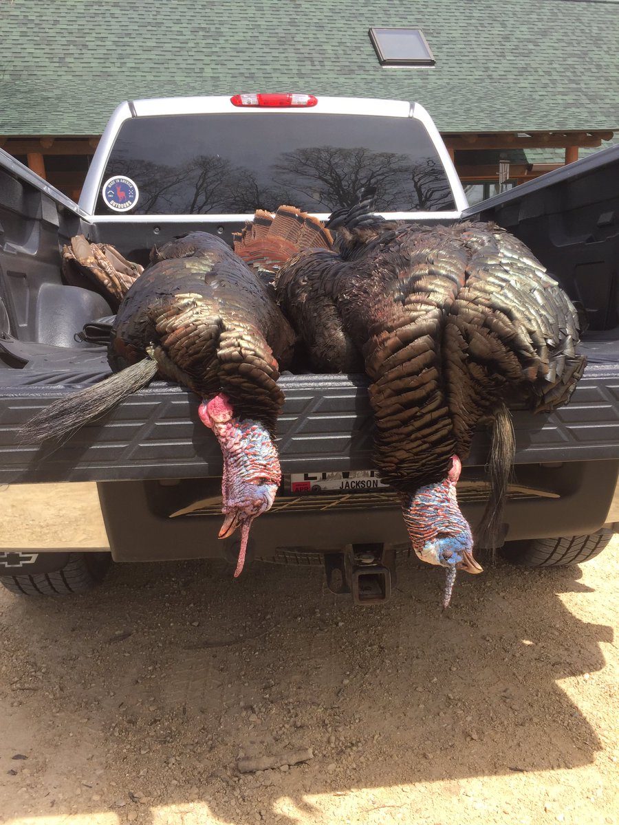 What a pretty sight from this past weekend!