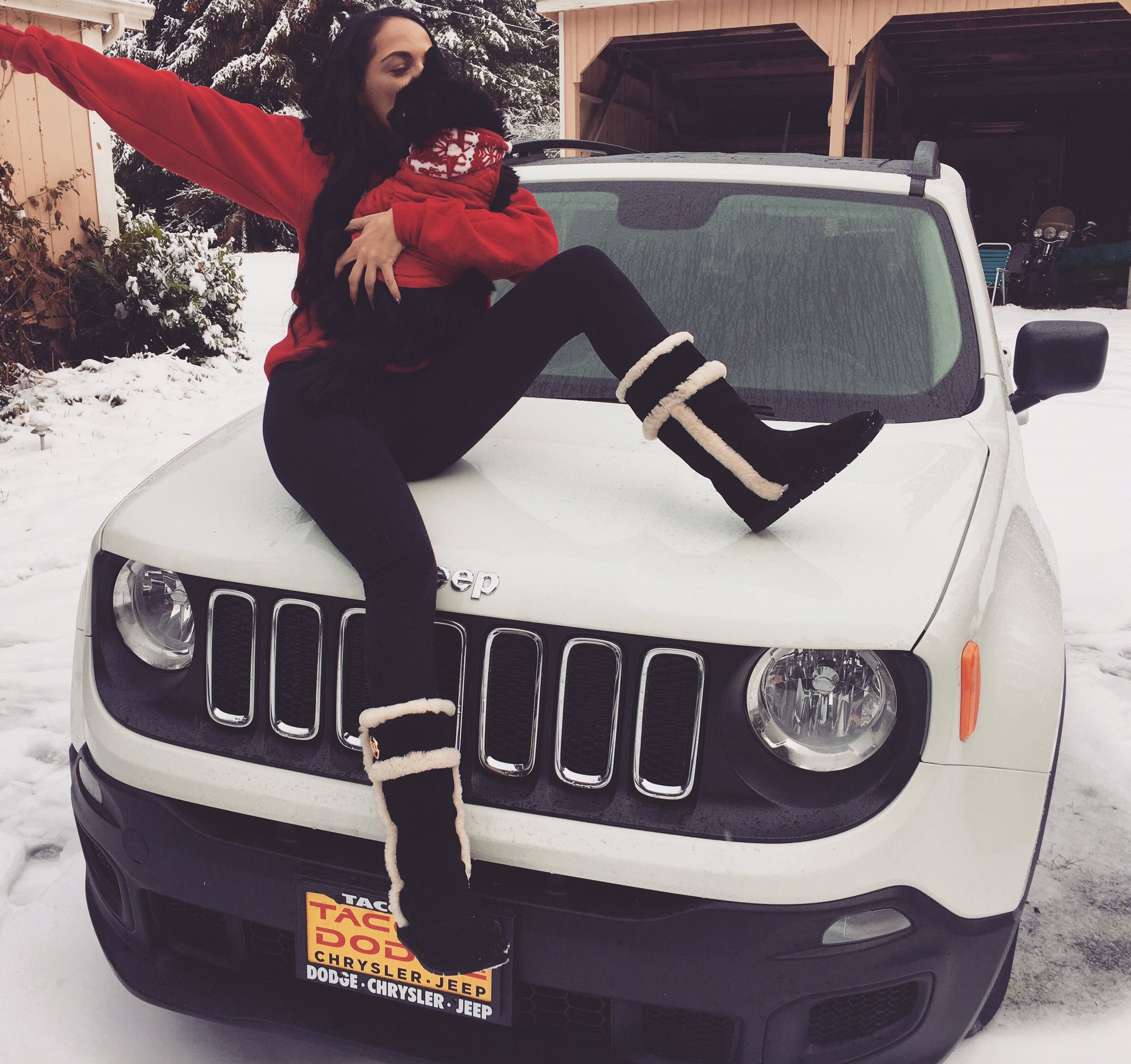 Sofi Ryan on Twitter: "When you match your cat 😍😂 #imissmybumblebeeebabe…