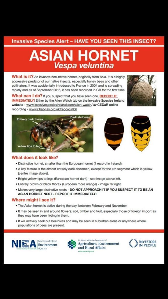 Beekeeping_ireland_ (Beekeeping_ie_) Twitter