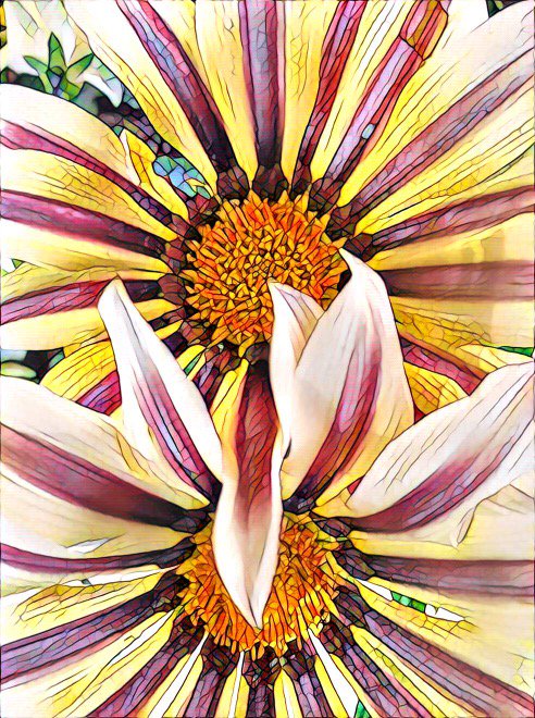 I’ve found the most comfort from others who have walked in my shoes. The bereaved form immediate bonds.