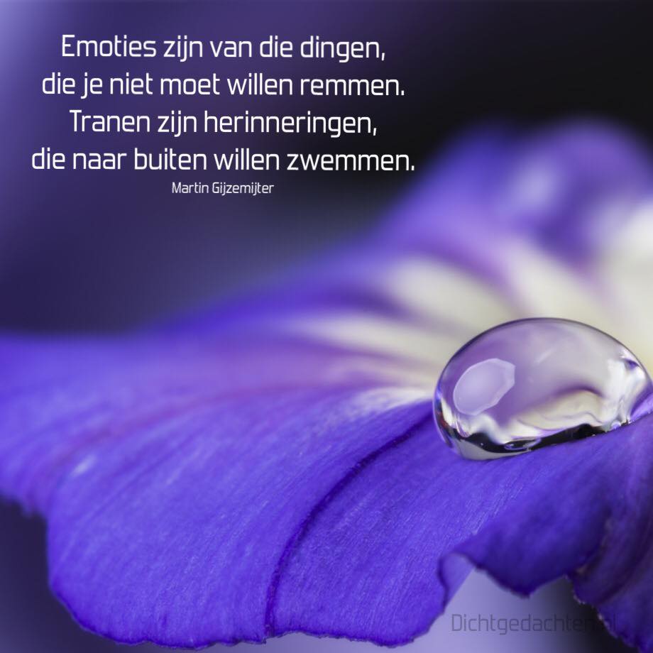 MarjanWolvers's tweet photo. Goedemorgen ! Prachtig gedicht .. https://t.co/jLobrs1SjB