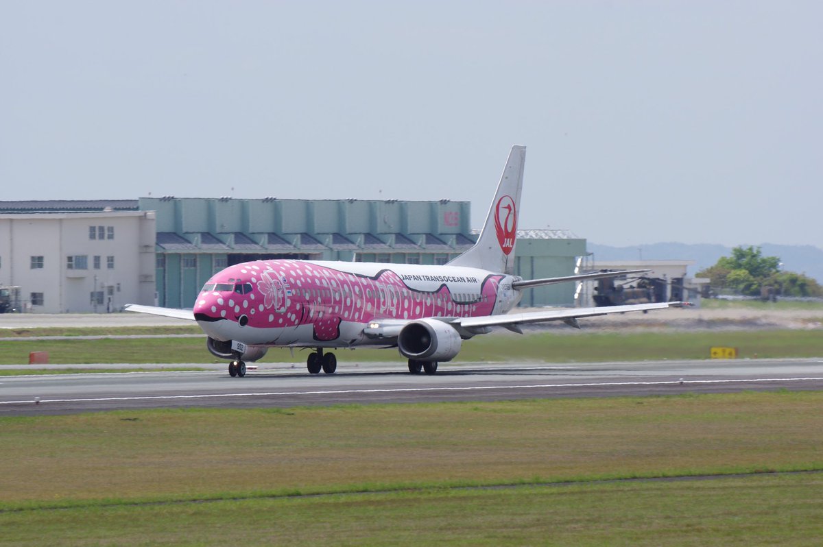 C M S Cms Pam Twitter