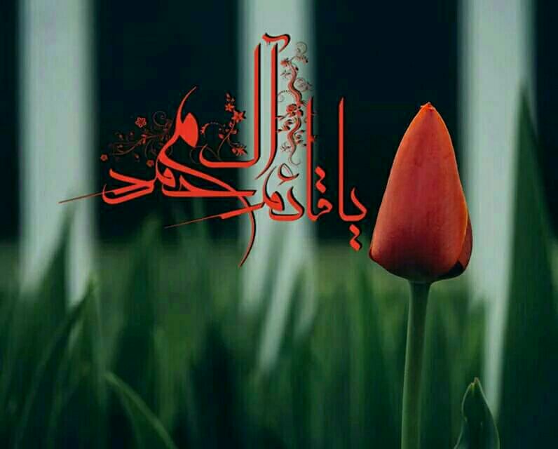 اسكب لوعات الفراق 
بين يدي شكواي 
على سجادة القرب..
حنانيك سيدي ♡

#عجل_فدتك_نفسي 
#صباحكم_مهدوي💭🕊