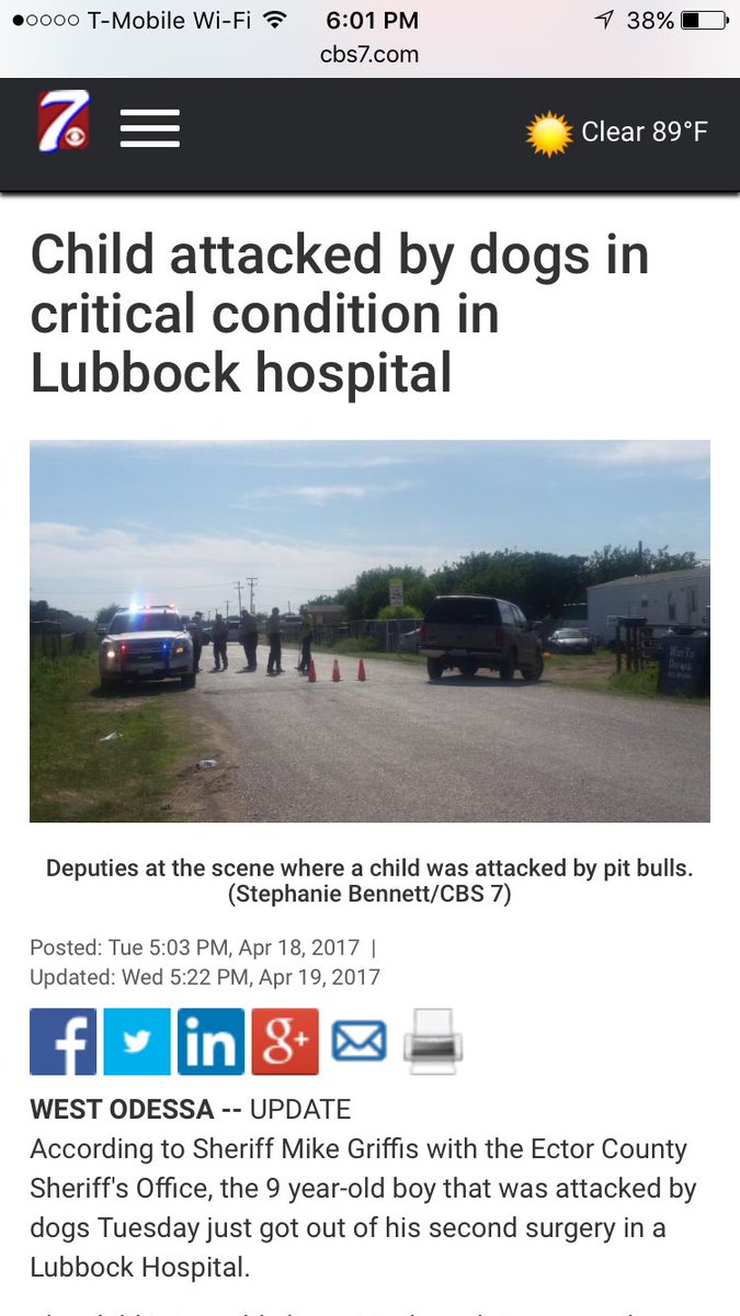 GuyMakeup's tweet image. 9 yr old Dylan, a close family friend of mine, was attacked by pitbulls 😔
Please share or donate if you can ❤️
goo.gl/DC4knE