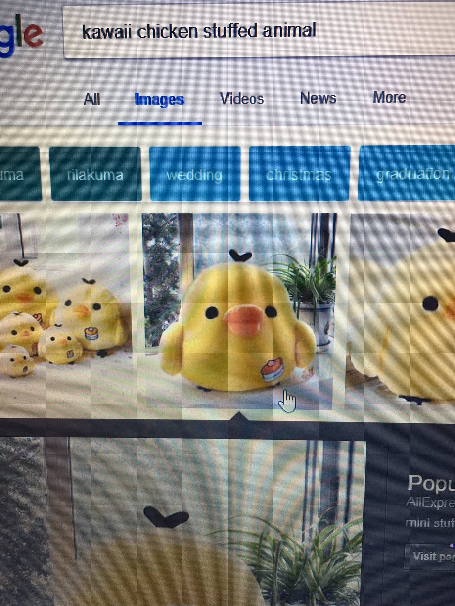 laurdiy duck plush