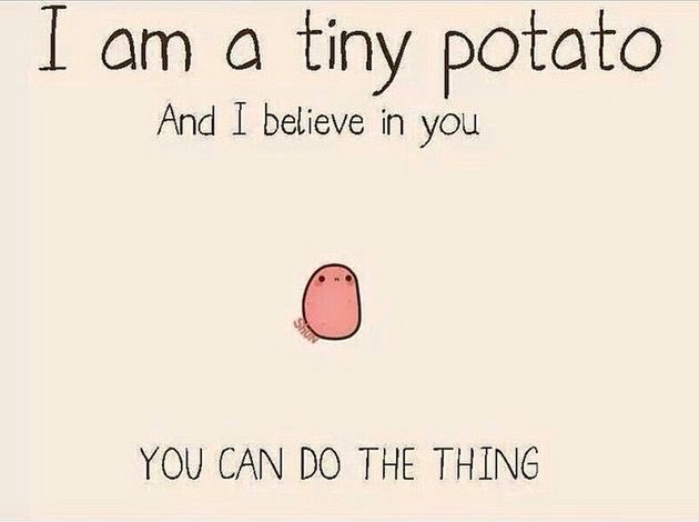 TBSYear11's tweet photo. Tuesday morning motivation from potato 😅 https://t.co/pMcUaDP50m