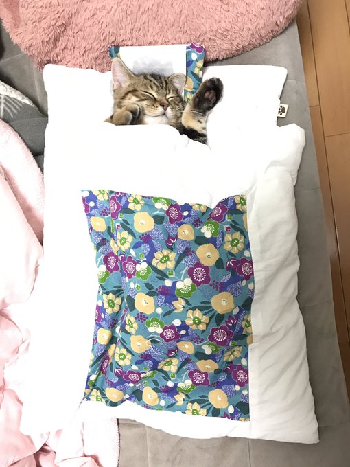 あきあさん の最近のツイート 21 Whotwi グラフィカルtwitter分析