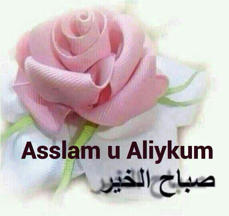 MSiddgui's tweet image. 