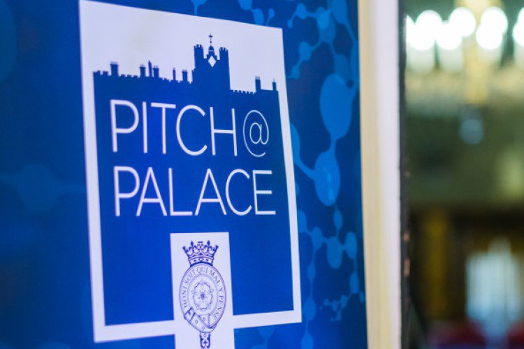 Looking forward to seeing the incredible Pitches from the <a href="/PitchatPalace/">Pitch@Palace</a> 7.0 #entrepreneurs this evening! Watch live pitchatpalace.com