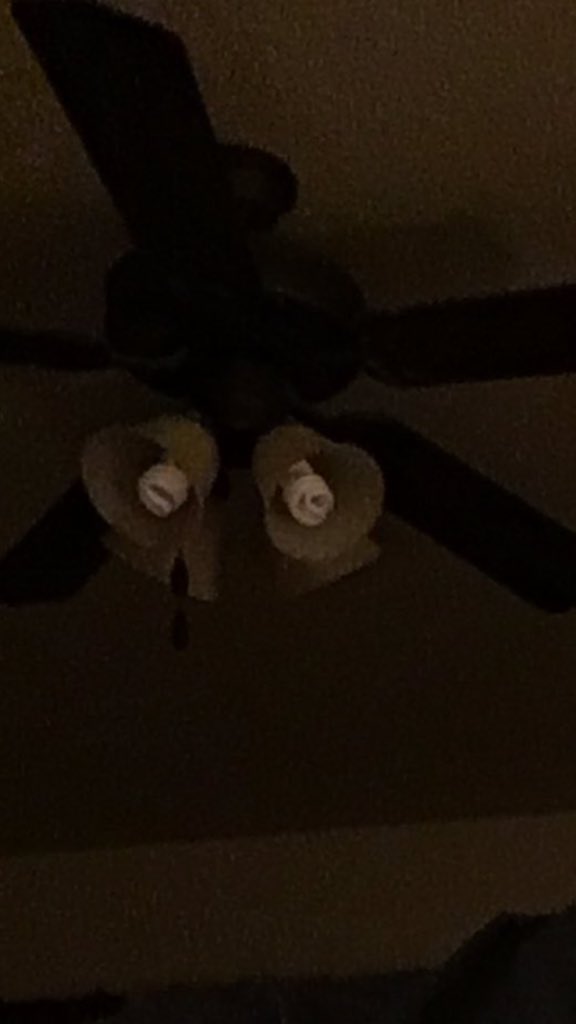 Lizziess On Twitter I Love When Big Streamers Post Pictures With