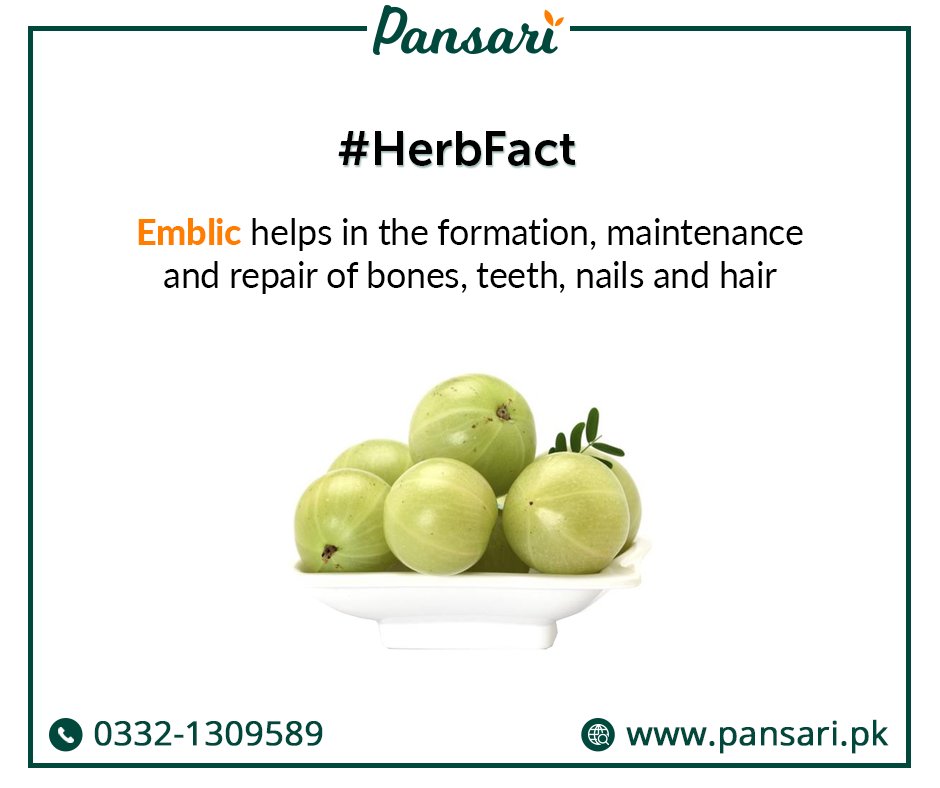 pansaripk's tweet photo. Emblic can purifies blood and control high blood pressure.
#Pansari #Emblic #HerbFact #StayHealthy #GoHerbal #Organic https://t.co/8z2S6vJdnL