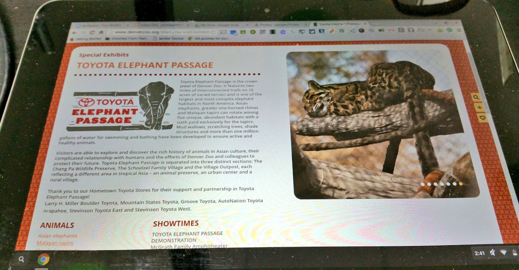 JulieStewartEDU's tweet image. Getting excited for our annual @DenverZoo field trip! #StewartStarsEDUkids are ready to learn and have fun! #edtechlearning