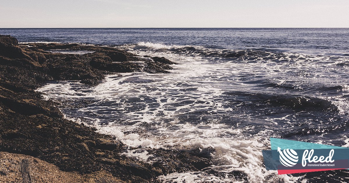 ¿Estás sumido en un mar de dudas?
Llega a buen puerto con @fleedisn 😉 https://t.co/smajuACHfC