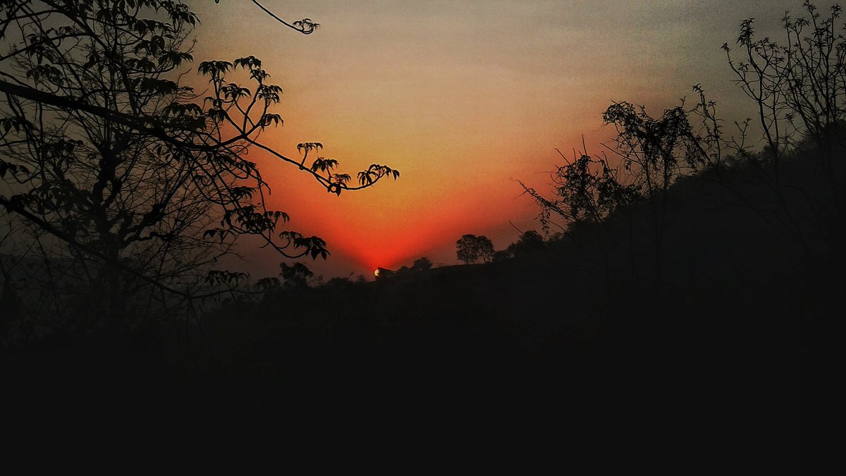 Suraj Halde tweet media