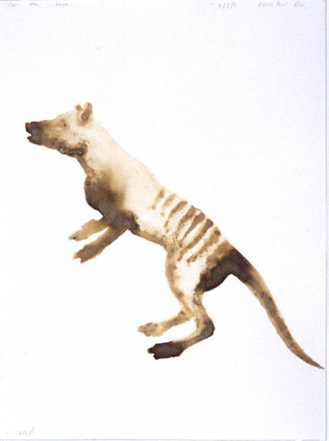 On the Trail of the Tasmanian Tiger Carnivorous Nights
