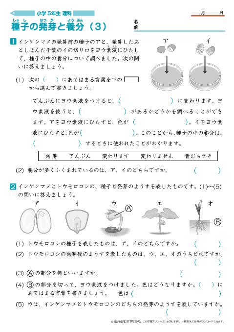 ちびむすドリル 作成 追加しました 小学５年生理科 種子の発芽と養分 練習問題プリント４枚 T Co 4wanxwzv3h 小５理科プリントの制作を開始しました 小学校教員経験30年余りのスタッフが経験をもとに基本知識を問う問題と理解を深める問題を