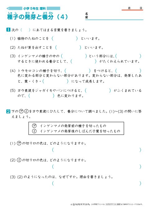 ちびむすドリル On Twitter 作成 追加しました 小学５年生理科