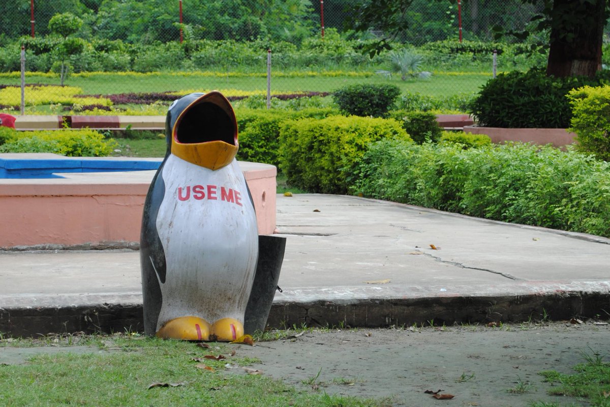 MichaelDAClarke's tweet photo. It breaks my heart to see a Penguin with such low self esteem!

#worldpenguinday https://t.co/vdaCztwzeB
