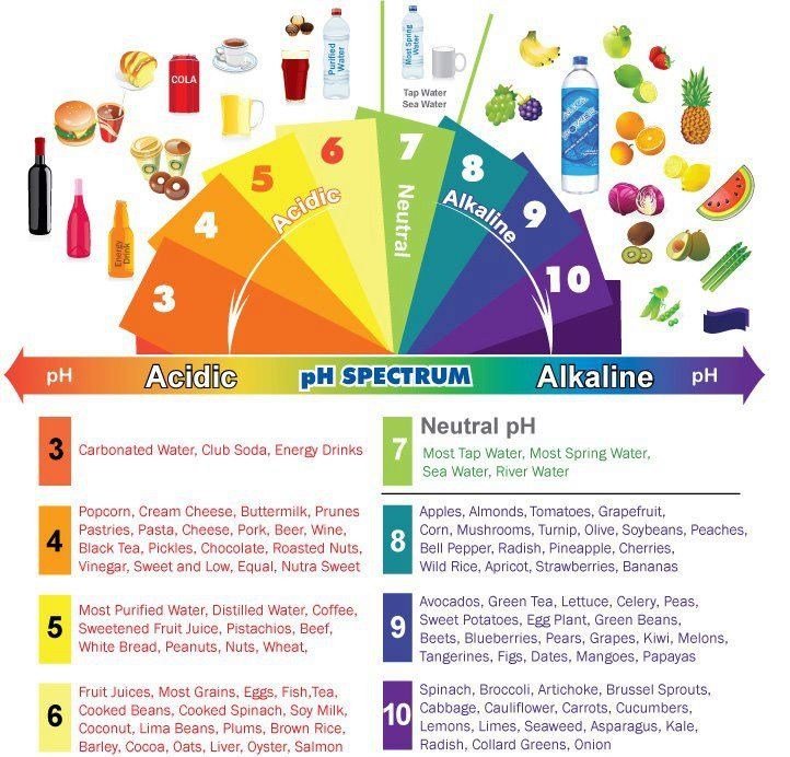 lectrofit's tweet photo. Alkaline vs. Alkalized https://t.co/s39EBdYULm https://t.co/z7h0DLaJ7v