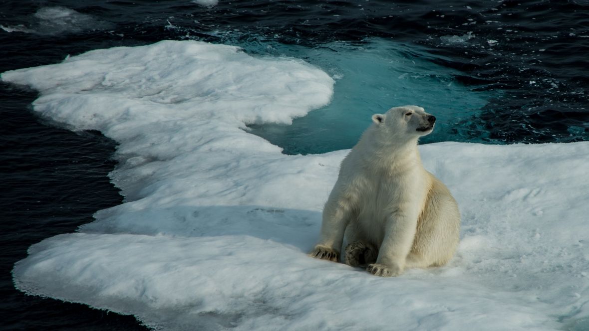 Arctic climate warming higher and faster than expected. cbc.ca/1.4083728