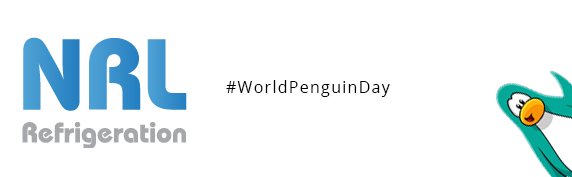 Happy #WorldPenguinDay