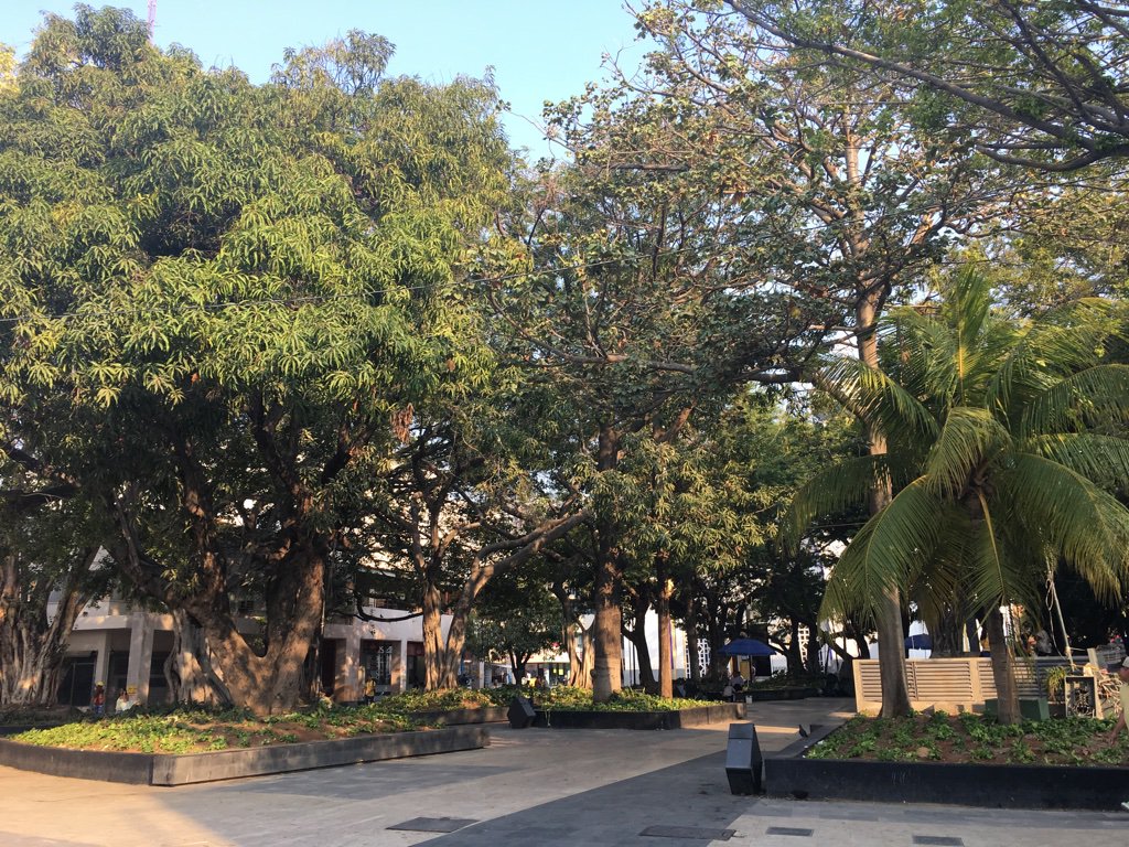 SLealMex's tweet photo. En el incomparable puerto de Acapulco haciendo visita de supervisión de las obras en la zona tradicional #compromisogubernamental https://t.co/jk8vUTE5Af