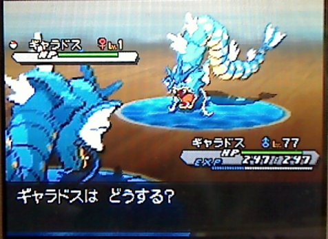 つばさ Tsubasa ポケモン配布 深刻な1レベギャラドス不足 昨夜ボックスにて1レベギャラドスを普通のギャラドスと見誤り逃してしまった だれか Bw2産の自然保護区水泡で出現する ギャラドス レベル1 ください 1レベ捕獲する気力がない D