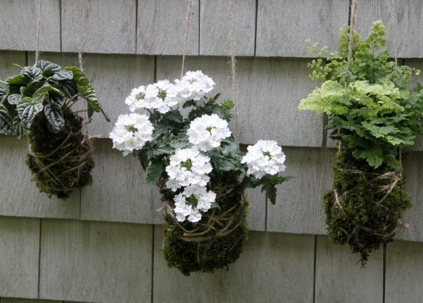 vcreekgarden's tweet photo. Japanese-Inspired String Garden - https://t.co/AlhAmjdL4z
#HangingGarden #JapaneseInspired #StringGarden https://t.co/aFdNET0ly9
