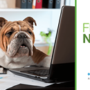 Candy_Vonk's tweet photo. You won’t be working like a dog when u get #FlexPodNOW! Enjoy the app performance, agility & cost savings. @Flexpod https://t.co/GonEQJSZ9s https://t.co/HLMm9b5Ciq