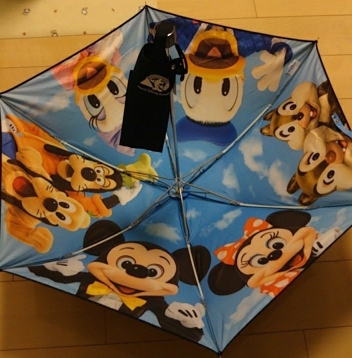 実写傘 実写傘